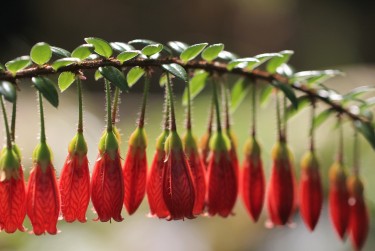 广州荔湾区8私人快速借钱网，轻松解决资金难题