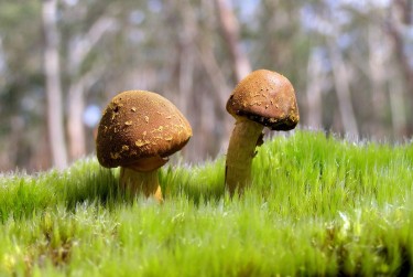 广州荔湾区8私人老板放款：轻松融资的秘密通道